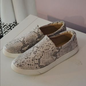 Snake Skin Sneakers